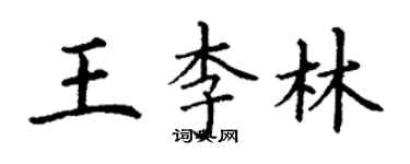 丁谦王李林楷书个性签名怎么写