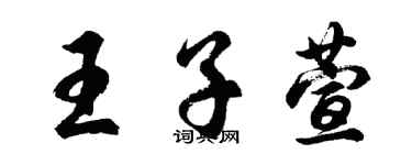 胡问遂王子萱行书个性签名怎么写