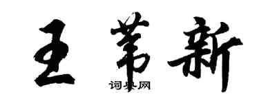 胡问遂王苇新行书个性签名怎么写