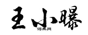 胡问遂王小曝行书个性签名怎么写