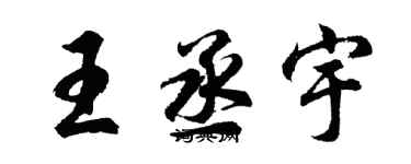 胡问遂王丞宇行书个性签名怎么写