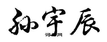 胡问遂孙宇辰行书个性签名怎么写
