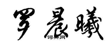 胡问遂罗晨曦行书个性签名怎么写