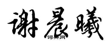 胡问遂谢晨曦行书个性签名怎么写