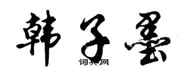 胡问遂韩子墨行书个性签名怎么写