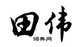 胡问遂田伟行书个性签名怎么写