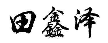 胡问遂田鑫泽行书个性签名怎么写
