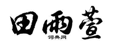 胡问遂田雨萱行书个性签名怎么写