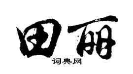胡问遂田丽行书个性签名怎么写