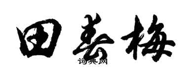 胡问遂田春梅行书个性签名怎么写