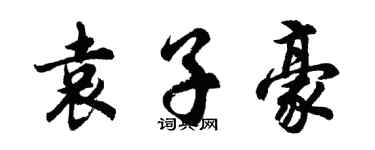 胡问遂袁子豪行书个性签名怎么写