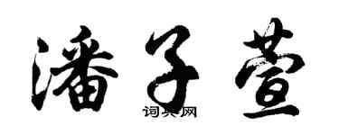胡问遂潘子萱行书个性签名怎么写