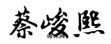 胡问遂蔡峻熙行书个性签名怎么写