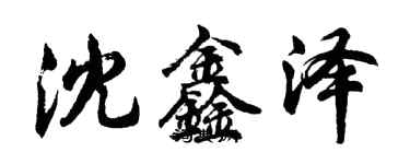 胡问遂沈鑫泽行书个性签名怎么写