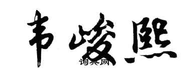 胡问遂韦峻熙行书个性签名怎么写