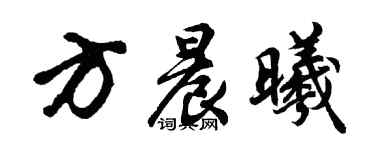 胡问遂方晨曦行书个性签名怎么写