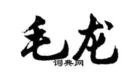 胡问遂毛龙行书个性签名怎么写