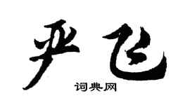 胡问遂严飞行书个性签名怎么写