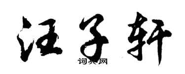 胡问遂汪子轩行书个性签名怎么写