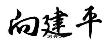 胡问遂向建平行书个性签名怎么写