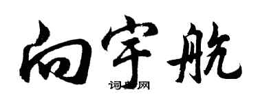 胡问遂向宇航行书个性签名怎么写