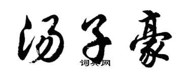胡问遂汤子豪行书个性签名怎么写