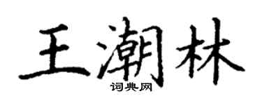 丁谦王潮林楷书个性签名怎么写