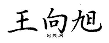 丁谦王向旭楷书个性签名怎么写