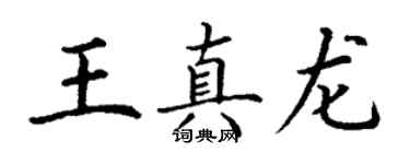 丁谦王真龙楷书个性签名怎么写