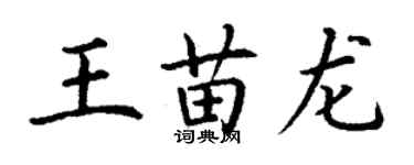 丁谦王苗龙楷书个性签名怎么写