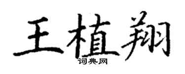 丁谦王植翔楷书个性签名怎么写