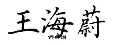 丁谦王海蔚楷书个性签名怎么写