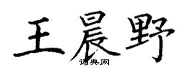 丁谦王晨野楷书个性签名怎么写