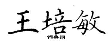 丁谦王培敏楷书个性签名怎么写