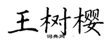丁谦王树樱楷书个性签名怎么写