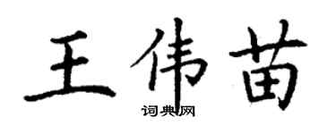 丁谦王伟苗楷书个性签名怎么写