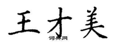 丁谦王才美楷书个性签名怎么写