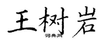 丁谦王树岩楷书个性签名怎么写