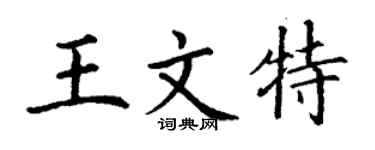 丁谦王文特楷书个性签名怎么写