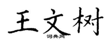 丁谦王文树楷书个性签名怎么写