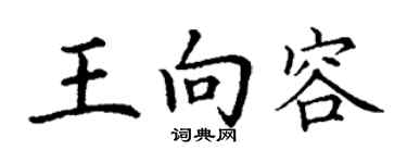 丁谦王向容楷书个性签名怎么写