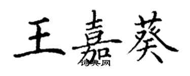 丁谦王嘉葵楷书个性签名怎么写