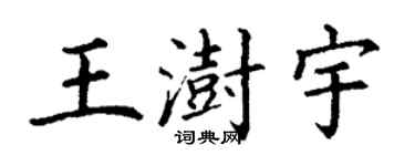 丁谦王澍宇楷书个性签名怎么写