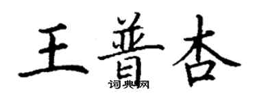 丁谦王普杏楷书个性签名怎么写
