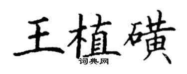 丁谦王植磺楷书个性签名怎么写