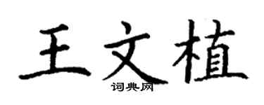 丁谦王文植楷书个性签名怎么写