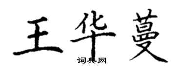 丁谦王华蔓楷书个性签名怎么写