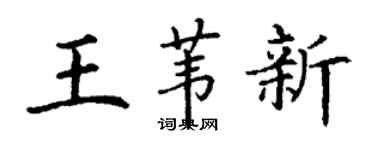 丁谦王苇新楷书个性签名怎么写