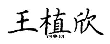 丁谦王植欣楷书个性签名怎么写