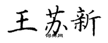 丁谦王苏新楷书个性签名怎么写